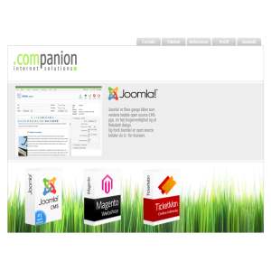 Companion Internet Solutions